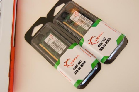 Two 2GB G.Skill RAM sticks for the MacBook